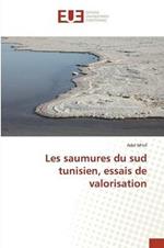 Les Saumures Du Sud Tunisien, Essais de Valorisation