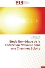 tude Num rique de la Convection Naturelle Dans Une Chemin e Solaire