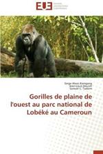 Gorilles de Plaine de l'Ouest Au Parc National de Lob k  Au Cameroun