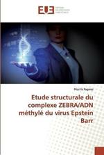 Etude structurale du complexe ZEBRA/ADN methyle du virus Epstein Barr