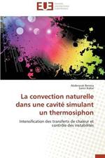 La Convection Naturelle Dans Une Cavit  Simulant Un Thermosiphon