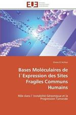 Bases Mol culaires de L`expression Des Sites Fragiles Communs Humains