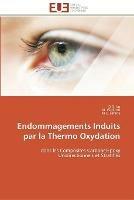 Endommagements induits par la thermo oxydation