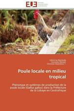 Poule Locale En Milieu Tropical