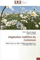 Vegetation mellifere du cameroun