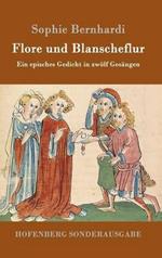 Flore und Blanscheflur: Ein episches Gedicht in zwölf Gesängen