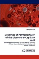 Dynamics of Permselectivity of the Glomerular Capillary Wall