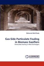 Gas-Side Particulate Fouling in Biomass Gasifiers