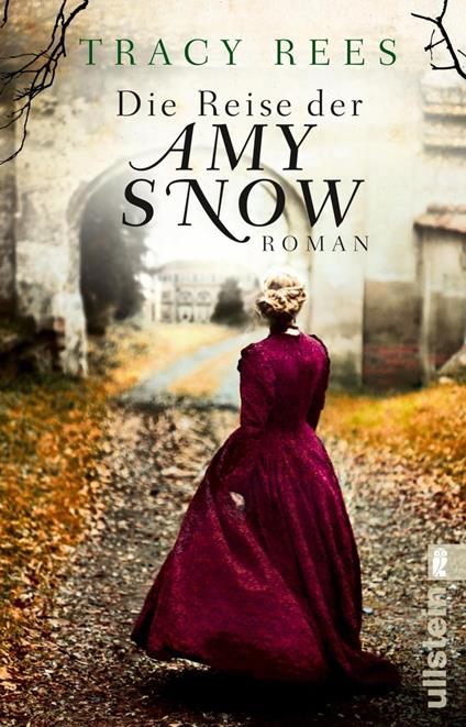 Die Reise der Amy Snow