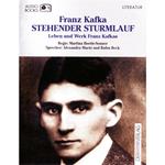 Stehender Sturmlauf