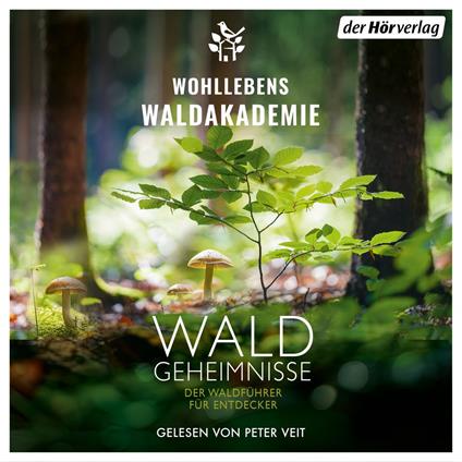 Waldgeheimnisse