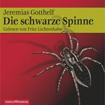 Die schwarze Spinne