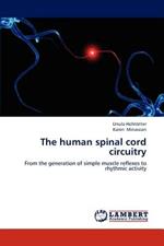 The human spinal cord circuitry