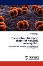 The Electron Transport Chains of Neisseria Meningitidis