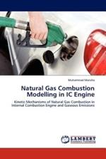 Natural Gas Combustion Modelling in IC Engine