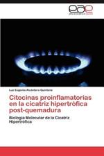 Citocinas Proinflamatorias En La Cicatriz Hipertrofica Post-Quemadura