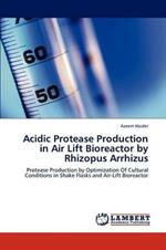 Acidic Protease Production in Air Lift Bioreactor by Rhizopus Arrhizus