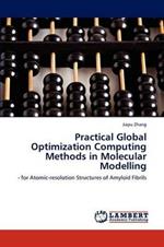 Practical Global Optimization Computing Methods in Molecular Modelling