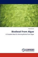 Biodiesel from Algae