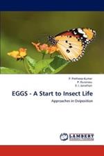 Eggs - A Start to Insect Life