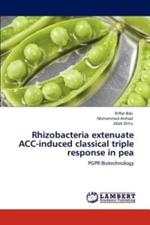 Rhizobacteria Extenuate Acc-Induced Classical Triple Response in Pea