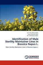 Identification of Male Sterility Maintainer Lines in Brassica Napus L.