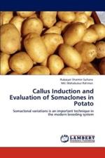 Callus Induction and Evaluation of Somaclones in Potato
