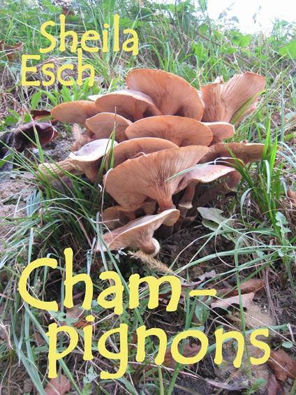 Champignons