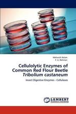 Cellulolytic Enzymes of Common Red Flour Beetle >i