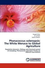 Phenacoccus Solenopsis: The White Menace to Global Agriculture