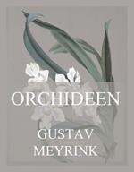 Orchideen