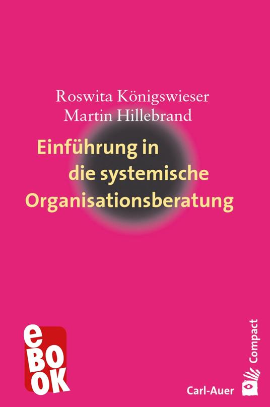 Einführung in die systemische Organisationsberatung