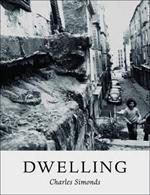 Charles Simonds. Dwelling