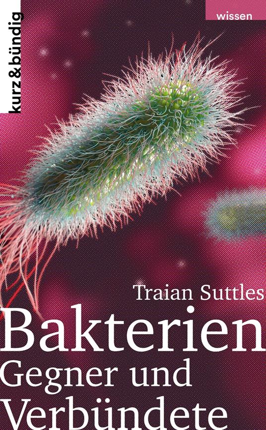 Bakterien