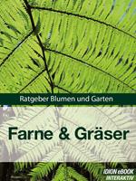 Farne & Gräser