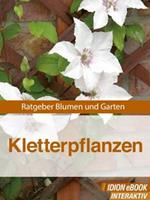 Kletterpflanzen