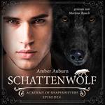 Schattenwolf, Episode 6 - Fantasy-Serie