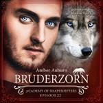 Bruderzorn, Episode 22 - Fantasy-Serie