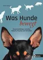 Was Hunde bewegt