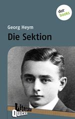 Die Sektion - Literatur-Quickie