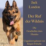 Jack London: Der Ruf der Wildnis. Die Geschichte eines Hundes