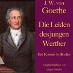 Johann Wolfgang von Goethe: Die Leiden des jungen Werther