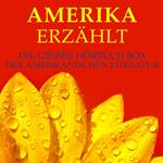 Amerika erzählt