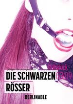 Die schwarzen Rösser - Folge 3