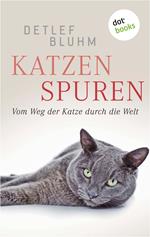 Katzenspuren