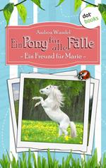 Ein Pony für alle Fälle - Erster Roman: Ein Freund für Marie