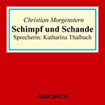 Schimpff und Schande