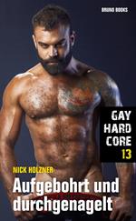 Gay Hardcore 13: Aufgebohrt und durchgenagelt