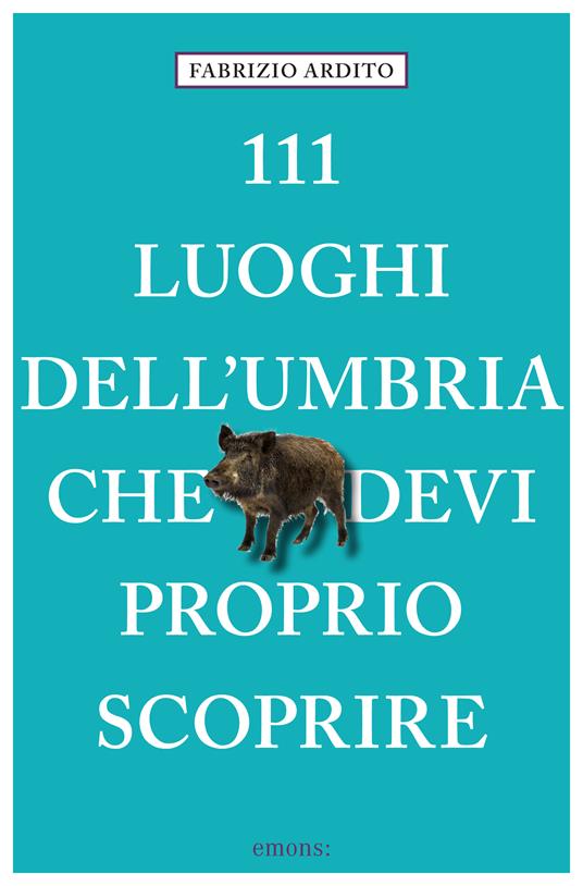 111 luoghi dell'Umbria che devi proprio scoprire - Fabrizio Ardito - ebook