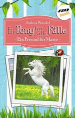 Ein Pony für alle Fälle - Erster Roman: Ein Freund für Marie